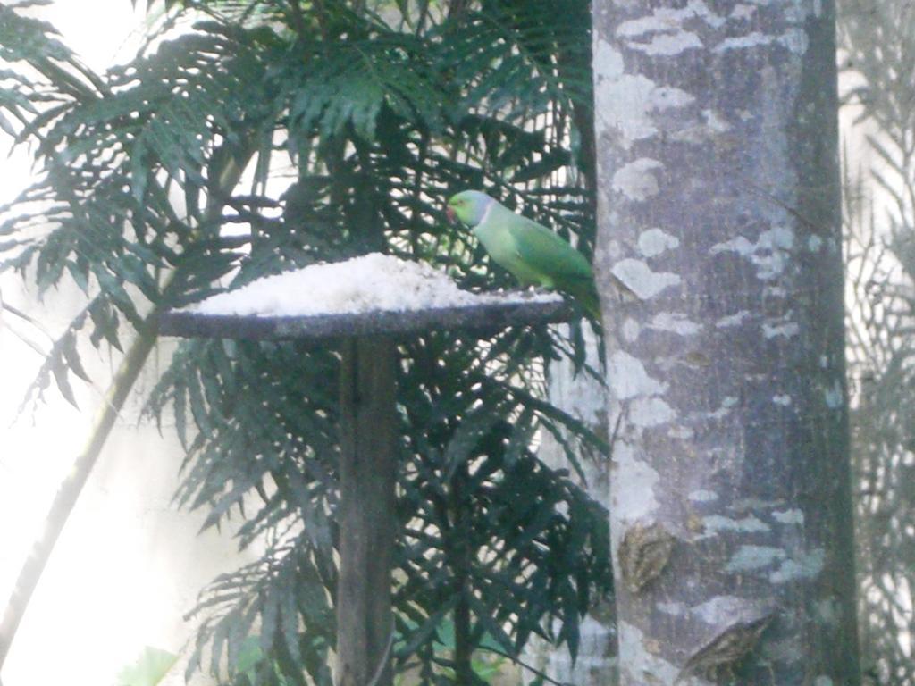 Bird Villa ガル 部屋 写真